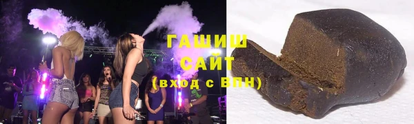 индика Осташков
