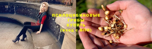 стаф Абинск